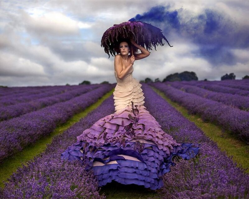 Woman in lavender field with purple umbrella