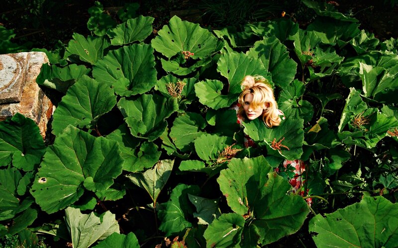 Woman in Leafy Plants