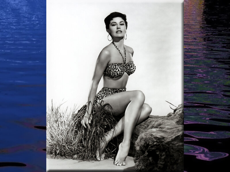 Woman in Leopard Bikini — Black, Confident, Photograph