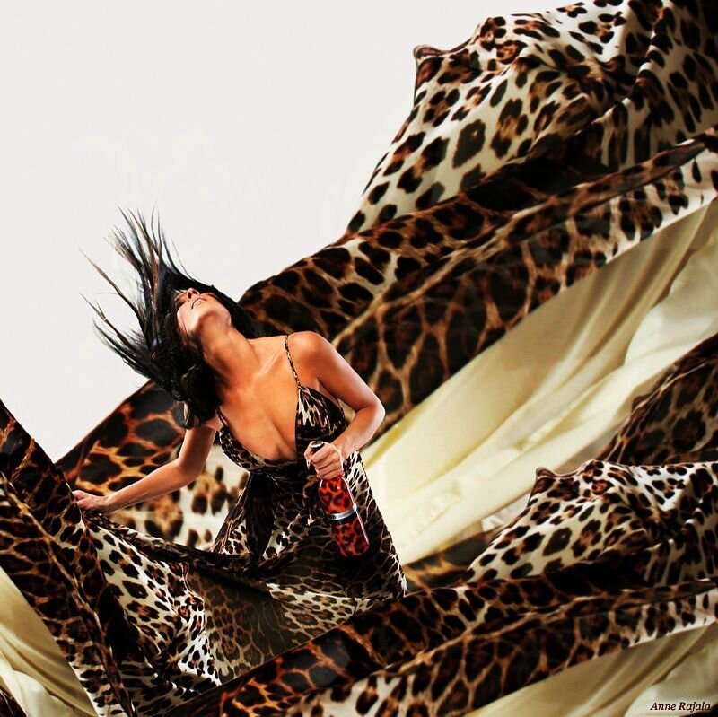 Woman in Leopard Dress — Brown, Dramatic