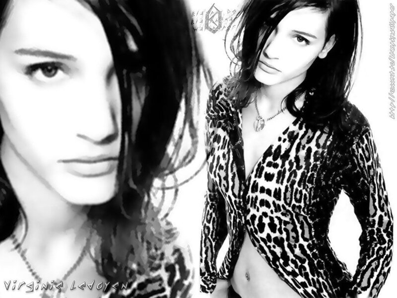 Woman in Leopard Print Top — Black, Dramatic