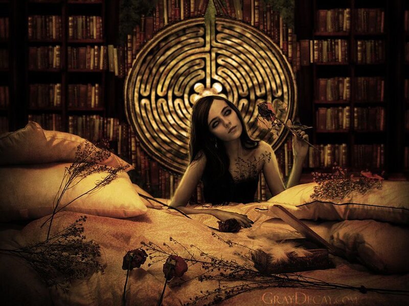 Woman in Library Bed