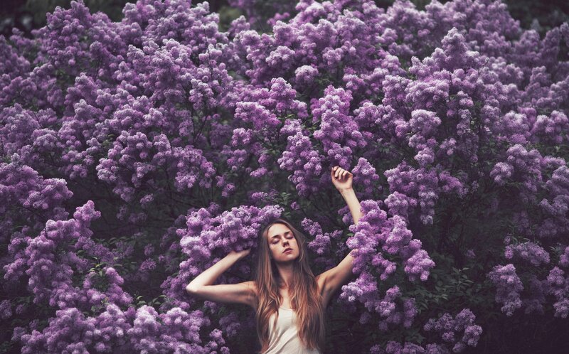 Woman in Lilac Bush — Purple