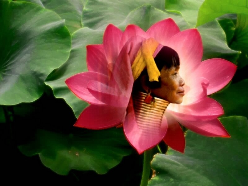 Woman in Lotus Flower