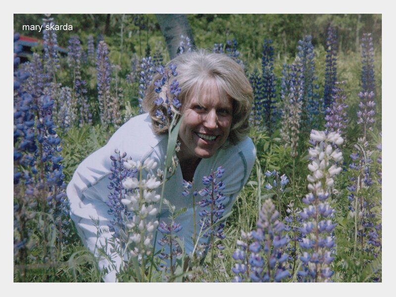 woman in lupine field