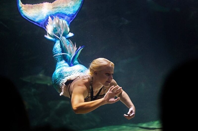 Woman in Mermaid Tail — Blue