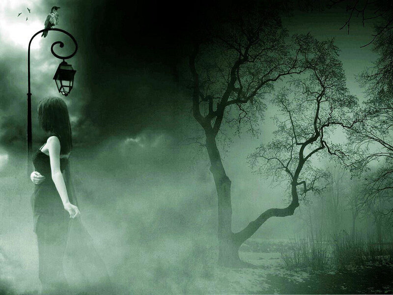 woman in misty forest