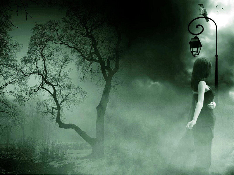 woman in misty forest