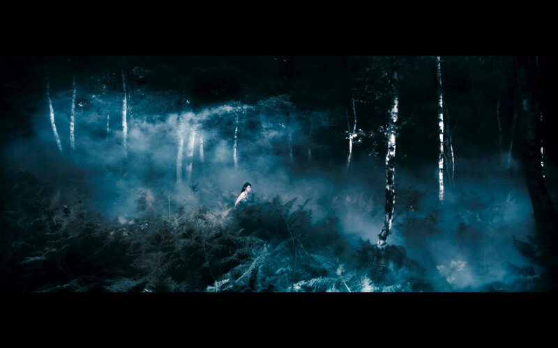 woman in misty forest
