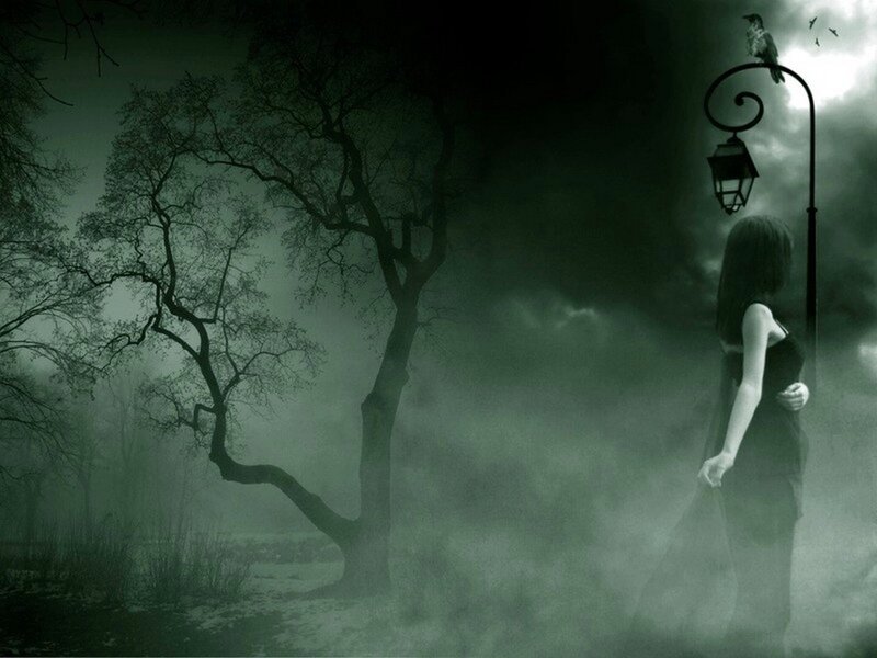 woman in misty forest