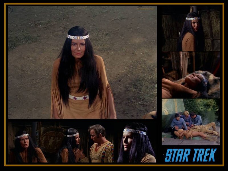 Woman in Native American Attire — Brown