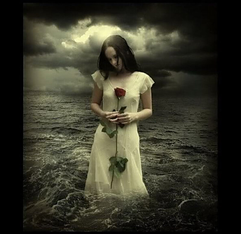 Woman in Ocean Holding Rose