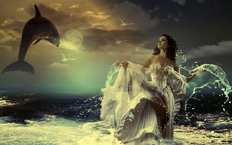 Woman in Ocean with Dolphin