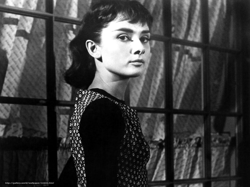 Woman in Patterned Dress — Black, Dramatic, Photograph, Window