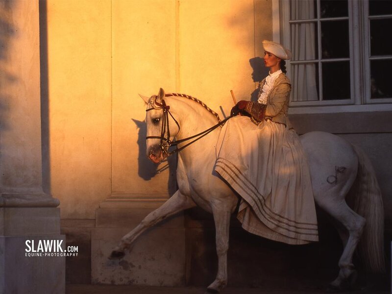 woman in period dress on white horse