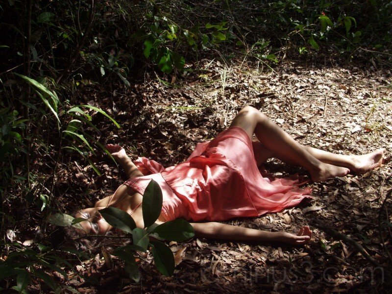 Woman in Pink Dress — Dramatic, Afternoon, Photograph, Forest Floor