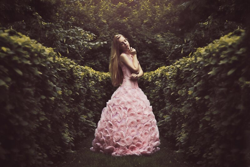 Woman in Pink Dress — Dramatic, Afternoon, Photograph, Hedge