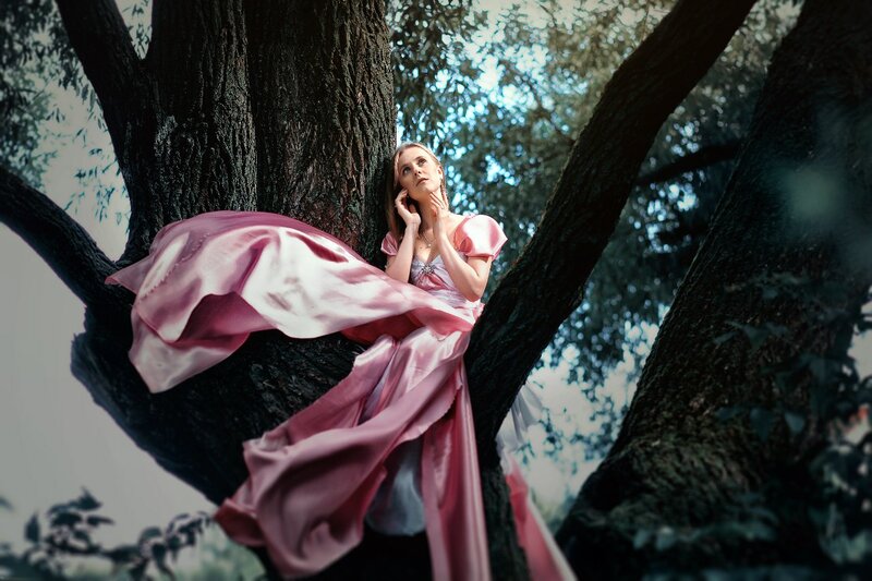 Woman in Pink Dress — Dramatic, Afternoon, Photograph, Tree, Forest