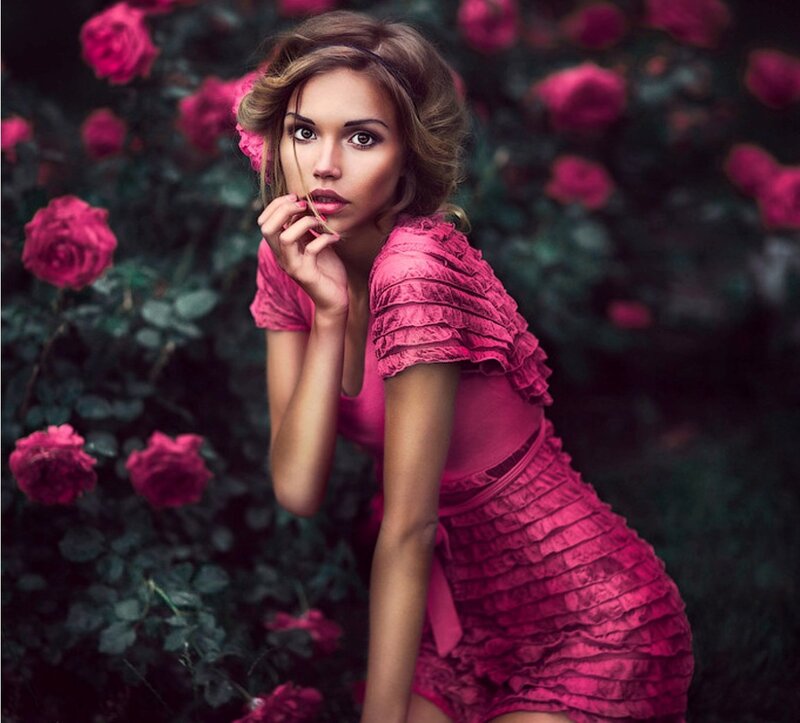 Woman in Pink Dress — Dramatic, Photograph, Roses