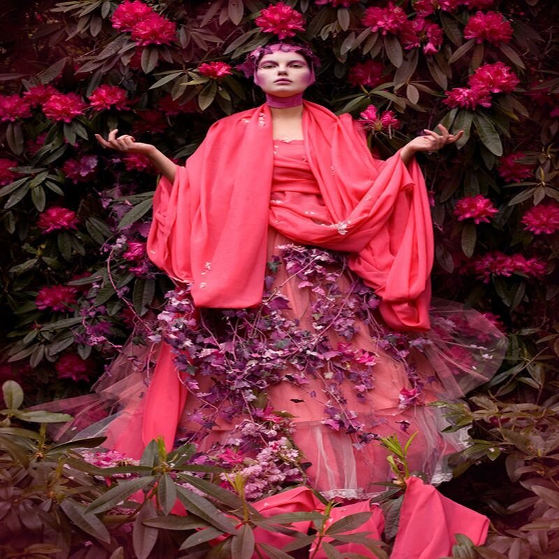 Woman in Pink Dress — Dramatic, Spring