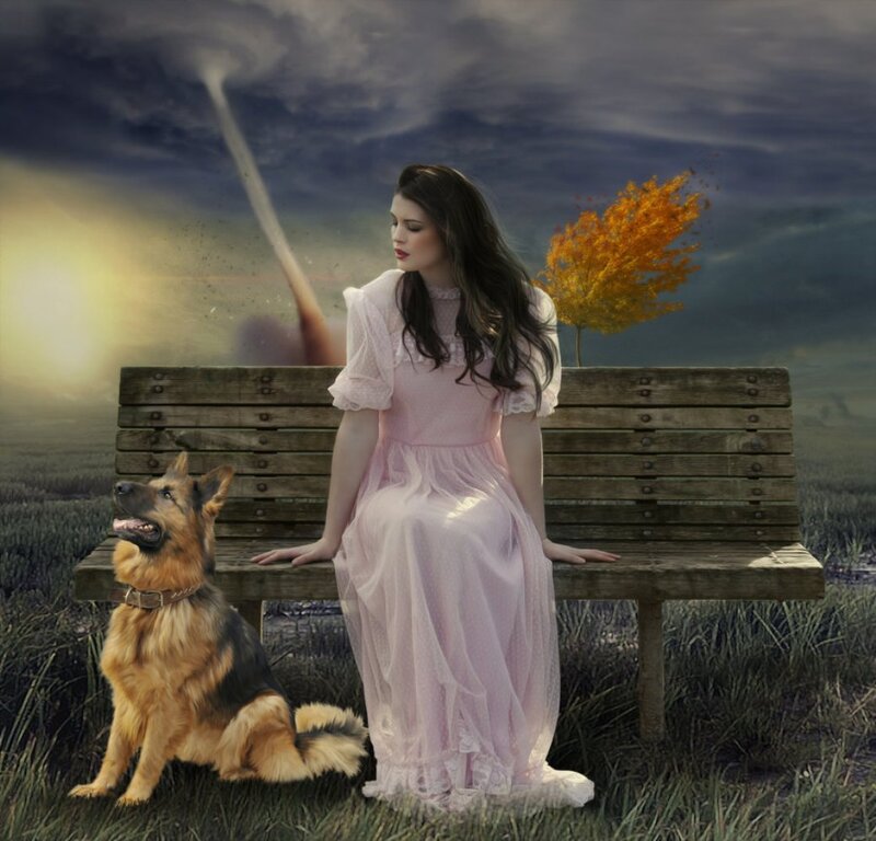 Woman in Pink Dress — Dramatic, Sunset, Digital Art, Dog