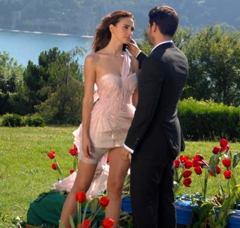 Woman in Pink Dress — Green, Romantic