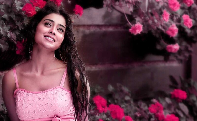 Woman in Pink Dress — Serene, Afternoon, Photograph, Flowers, Long Hair, Outdoor
