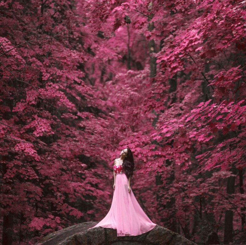 Woman in Pink Dress — Serene, Photograph, Forest