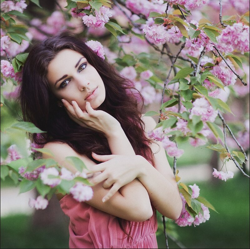 Woman in Pink Dress — Serene, Spring, Photograph, Cherry Blossoms, Green Leaves