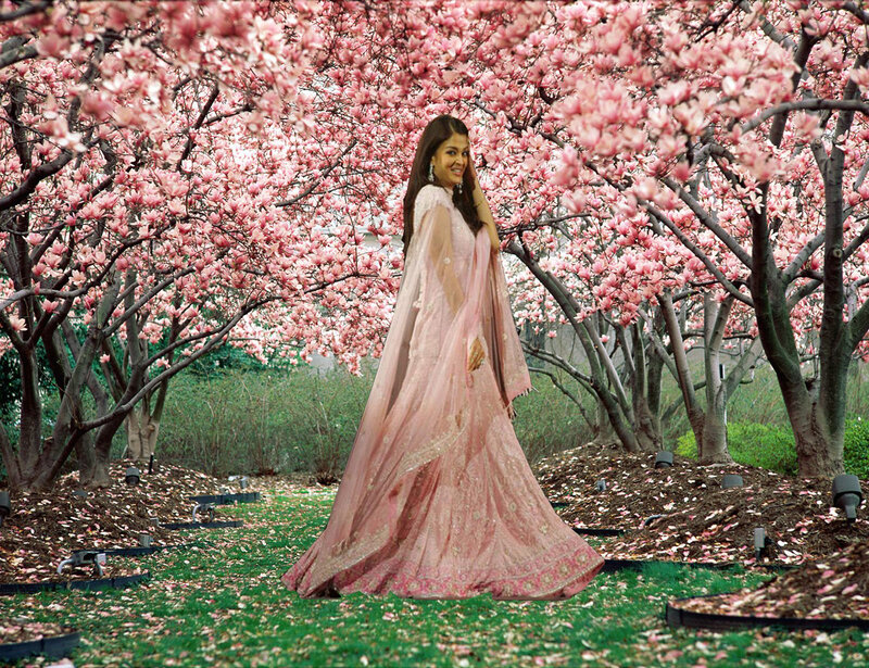 Woman in Pink Sari — Serene, Spring
