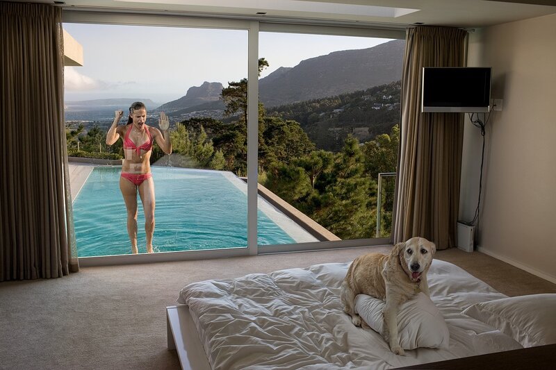 Woman in pool, dog on bed