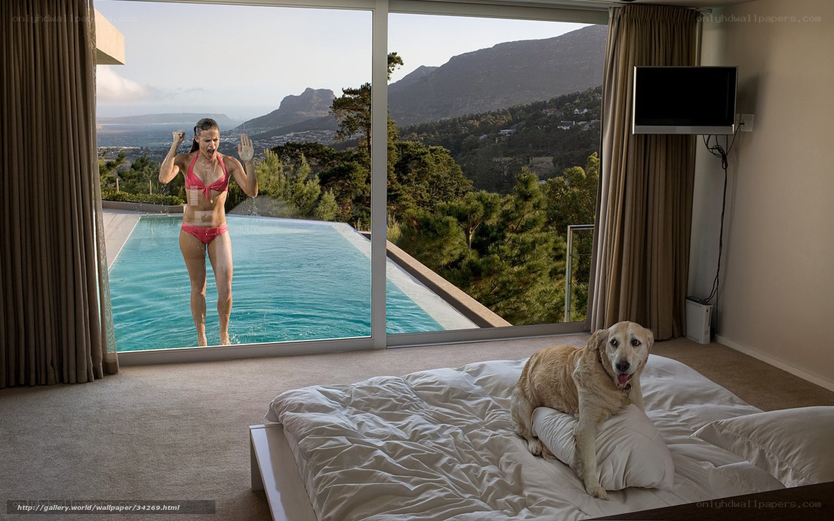 Woman in pool, dog on bed