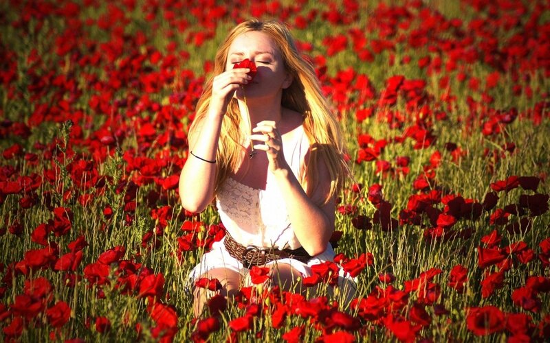 woman in poppy field
