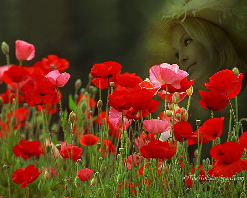 woman in poppy field