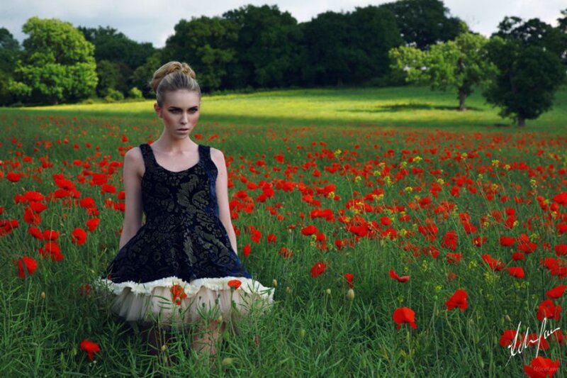 woman in poppy field