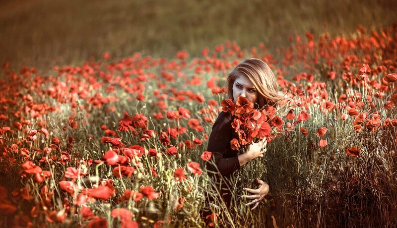 Woman in Poppy Field — Red, Dramatic, Afternoon, Photograph