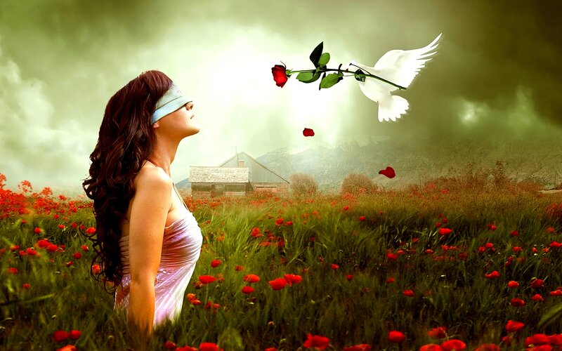 Woman in Poppy Field — Red, Dreamy, Afternoon, Digital Art