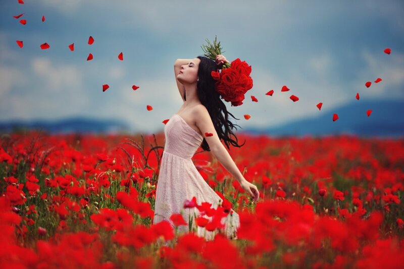 Woman in Poppy Field — Red, Serene, Afternoon, Photograph, Flowers