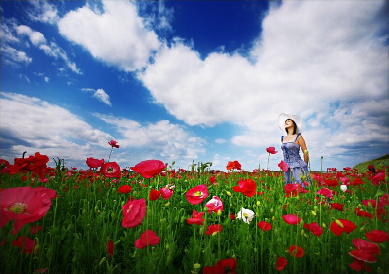 Woman in Poppy Field — Red, Serene, Afternoon, Photograph, Poppy Flowers, Blue Sky