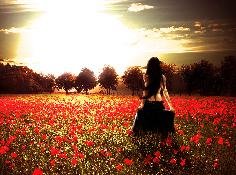 Woman in Poppy Field — Red, Serene, Sunset