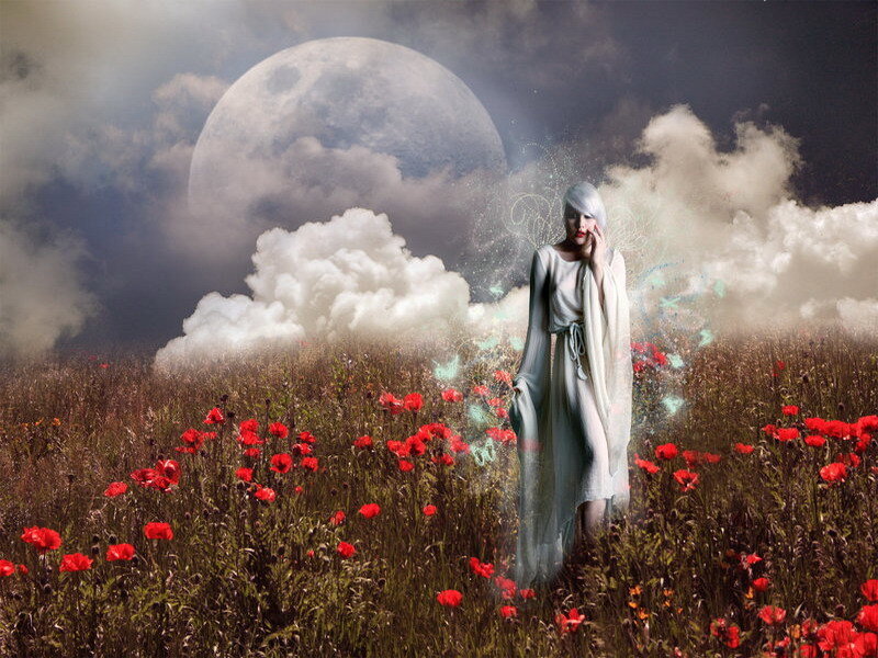 woman in poppy field under moon