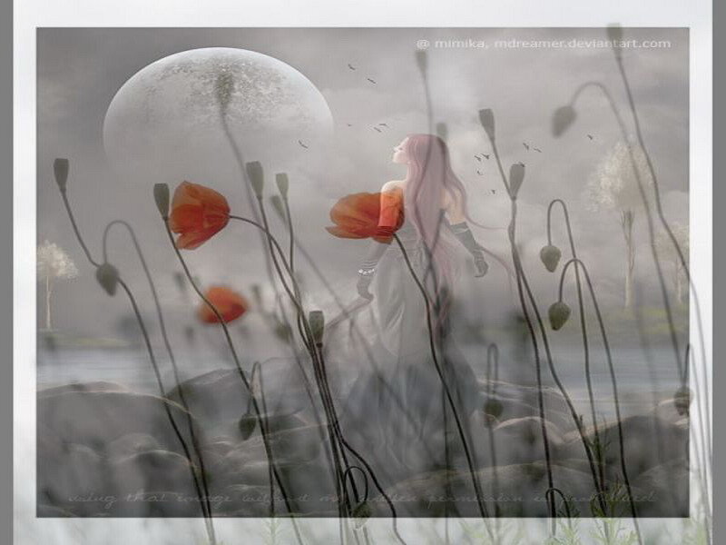 woman in poppy field under moon
