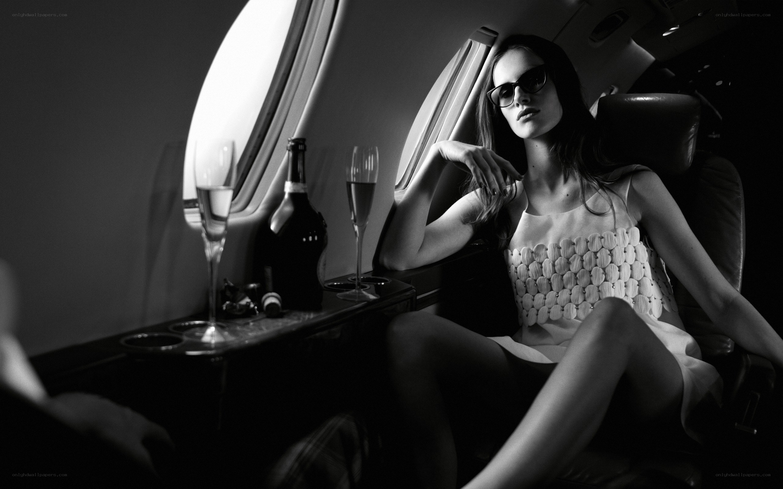 woman in private jet