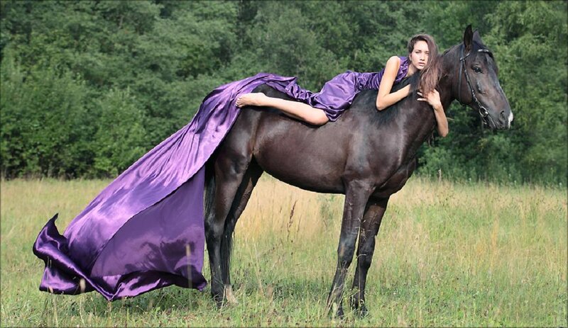 Woman in Purple Dress on Horse
