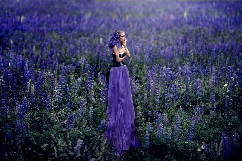 Woman in Purple Dress — Serene, Photograph, Flowers, Field