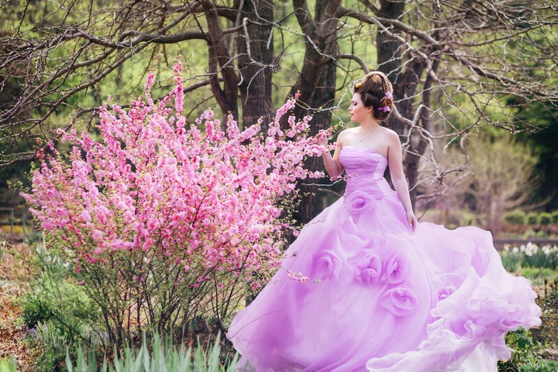 Woman in Purple Dress — Serene, Spring, Photograph, Pink Flowers, Trees