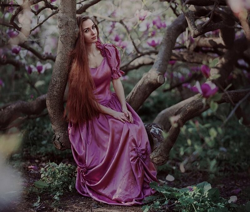 Woman in Purple Dress — Serene, Spring, Photograph, Tree