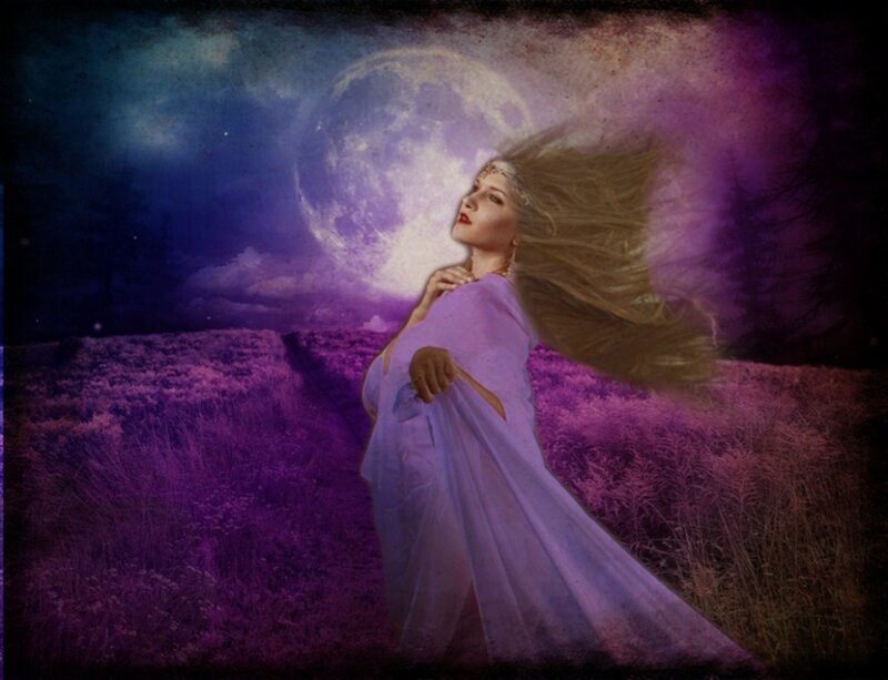 Woman in Purple Field — Dramatic