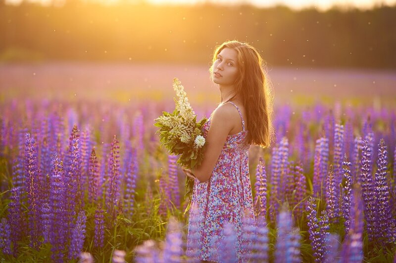 Woman in Purple Field — Serene, Sunset, Photograph