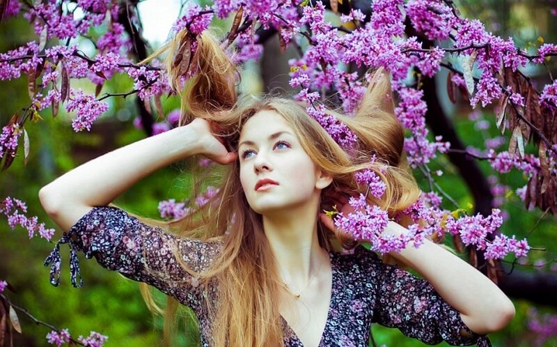 Woman in Purple Flowers — Serene, Spring, Photograph
